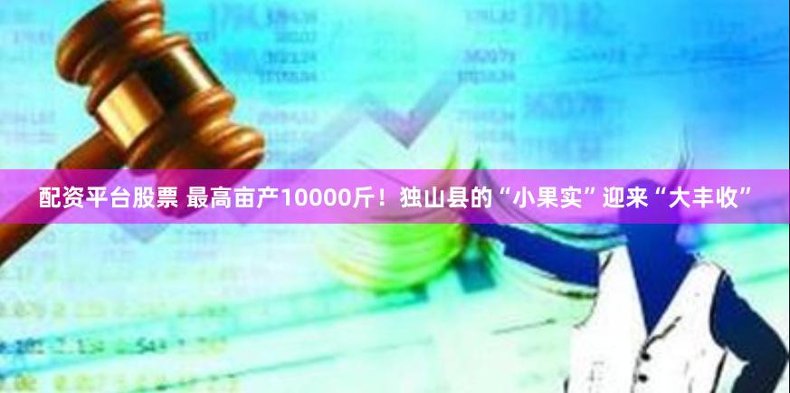 配资平台股票 最高亩产10000斤！独山县的“小果实”迎来“大丰收”