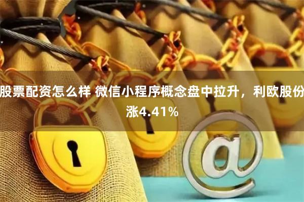 股票配资怎么样 微信小程序概念盘中拉升，利欧股份涨4.41%