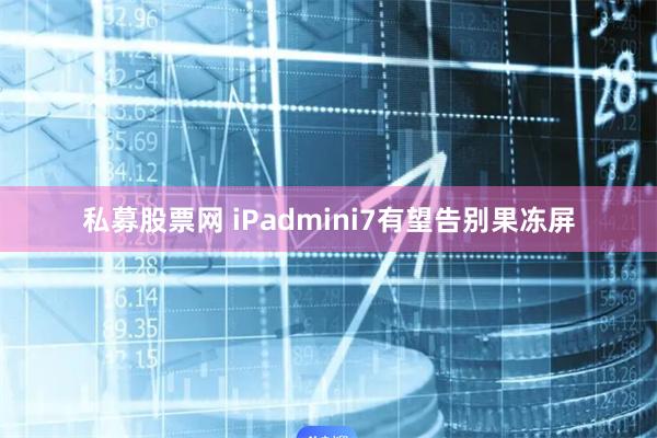 私募股票网 iPadmini7有望告别果冻屏