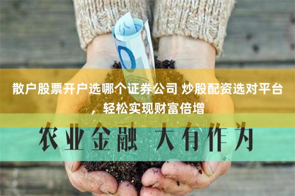 散户股票开户选哪个证券公司 炒股配资选对平台，轻松实现财富倍增