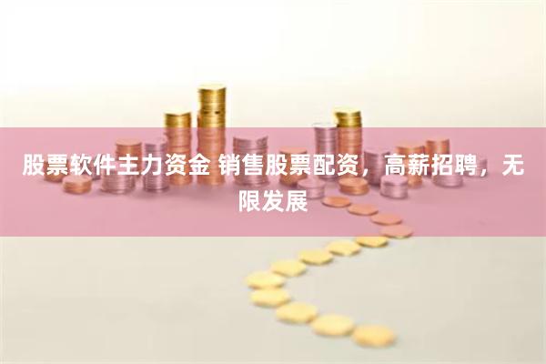 股票软件主力资金 销售股票配资，高薪招聘，无限发展