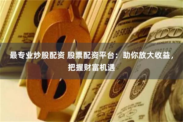 最专业炒股配资 股票配资平台：助你放大收益，把握财富机遇